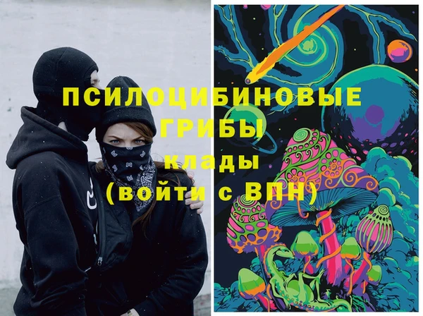 каннабис Аркадак