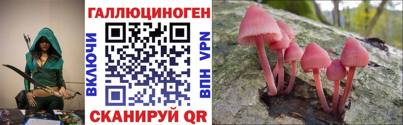 цена   Углегорск  Псилоцибиновые грибы Psilocybine cubensis 